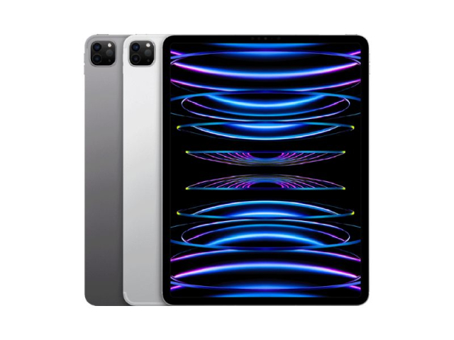 iPad Pro 11 Cellular 128GB (4th gen)